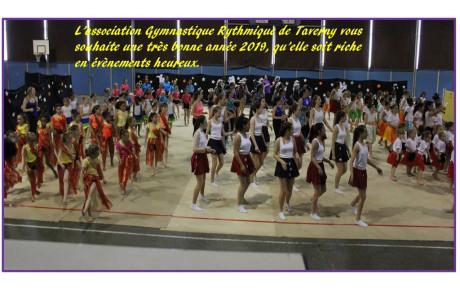 Les membres du bureau de l'association vous présentent leurs meilleurs voeux pour 2019